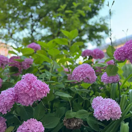 Krozinger Gartenloft - Design Apartment